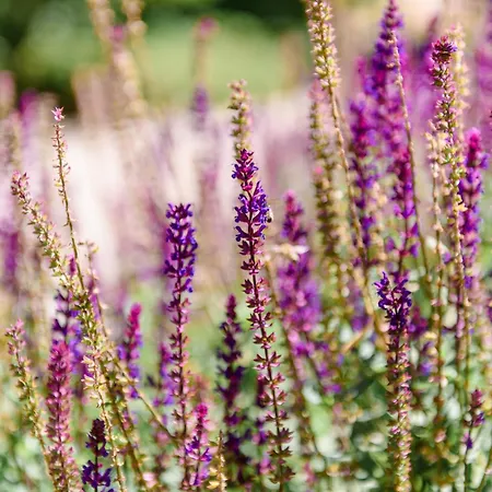 ゲストハウス Haus Hildegard