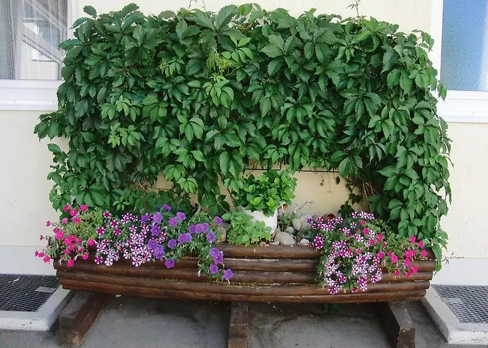 希尔德加德旅馆 巴特法兴格