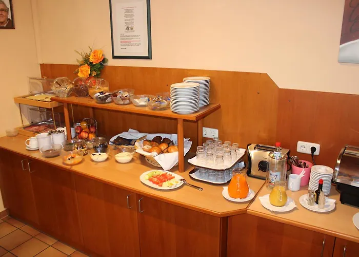 希尔德加德旅馆 巴特法兴格