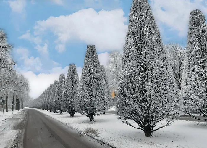 希尔德加德旅馆 3* 巴特法兴格