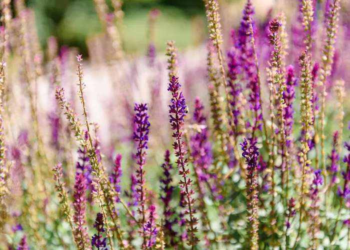 招待所 希尔德加德旅馆