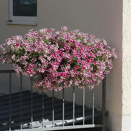 Pensjonat Haus Hildegard 2*