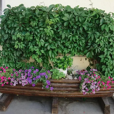 Haus Hildegard Bad Fussing