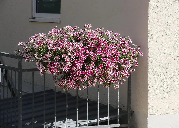 Affittacamere Haus Hildegard 3*